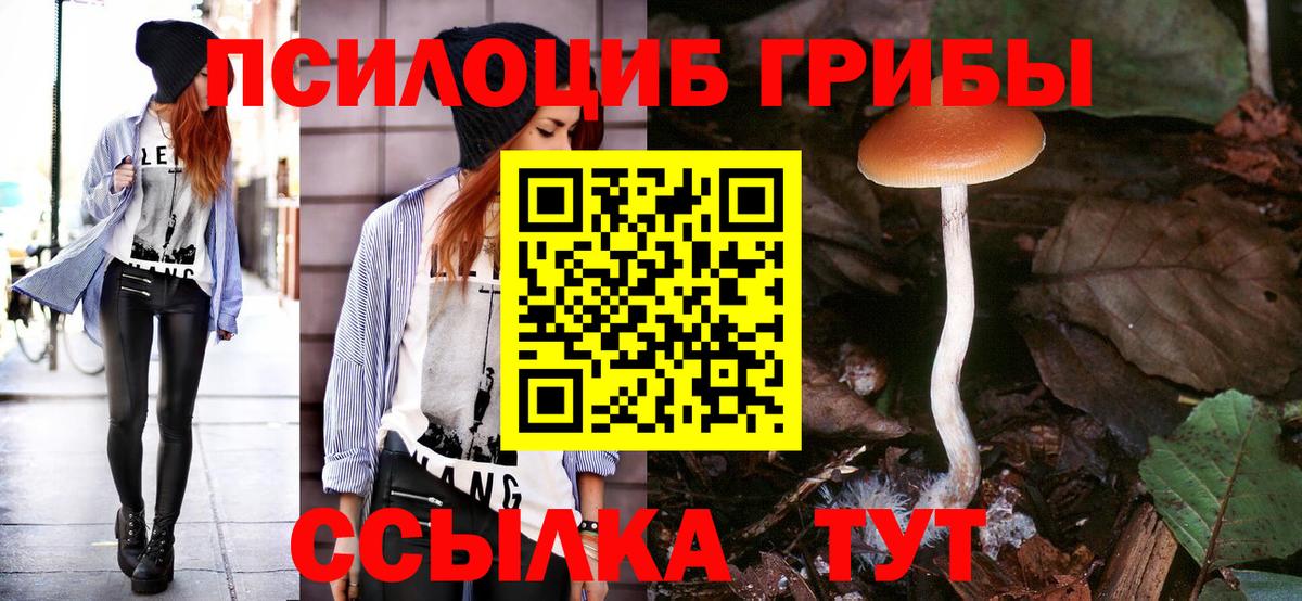 Псилоцибиновые грибы MAGIC MUSHROOMS Саянск