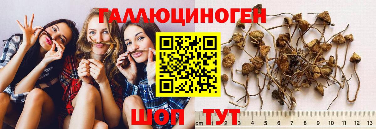 Галлюциногенные грибы мухоморы  Галлюциногенные грибы Cubensis  Вход с VPN  Саянск 